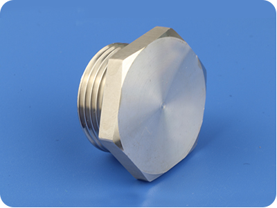 Stainless Steel Hex Plug (PG Thread)