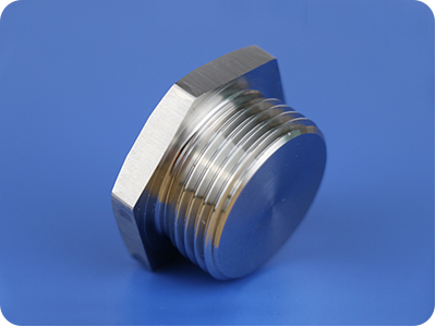 Stainless Steel Hex Plug (Metric Thread)